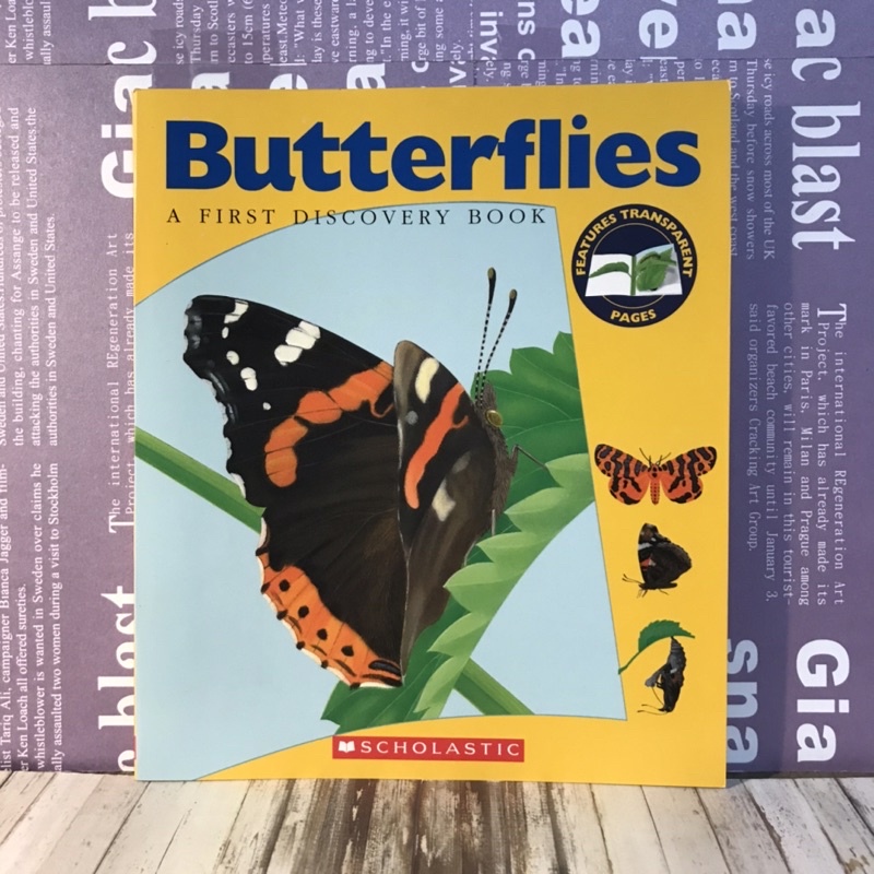 經典英文讀本/膠片書/我的第一個發現/ Butterflies First Discover ［📚讀冊寶藏二手好書🧳］