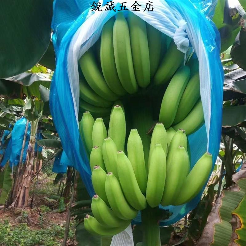 【銳誠五金】香蕉套袋 有孔 無孔 防寒 防蟲 防紫外線 藍色膜 專用一體袋 加厚型 批發價