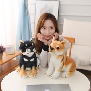 模擬抱枕 柴柴 柴犬 黑柴 狗狗 小狗 坐姿 趴姿 抱枕 擺飾 擺件
