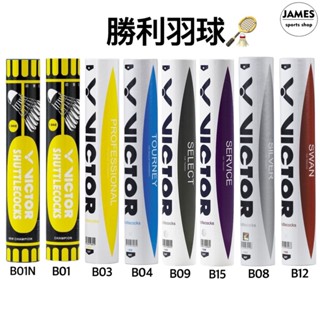 【現貨 開發票】勝利 羽球 羽毛球 碳音球 B03 專業級 比賽羽球 羽球 練習級