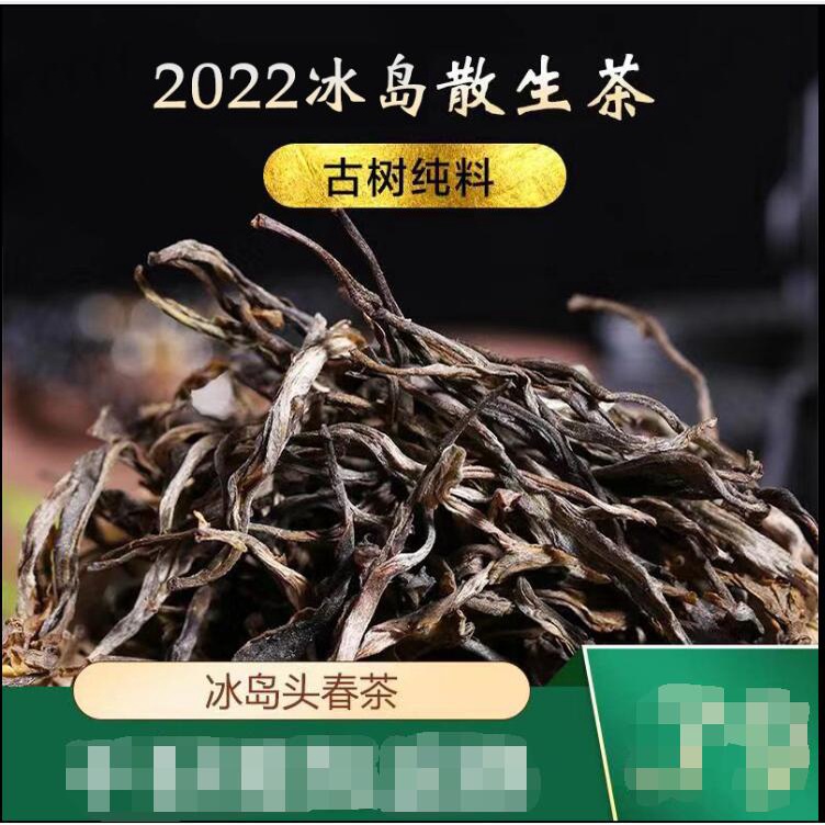 冰島普洱茶生茶散茶古樹春茶散裝口糧茶古樹頭春雲南生普洱茶500g