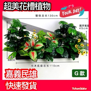 嘉義民雄發貨😇模擬綠植物😇假植物 假草 花槽植物 花箱植物 仿真植物花草花束隔斷盆栽 花盆 插花盆栽 假樹 室內設計