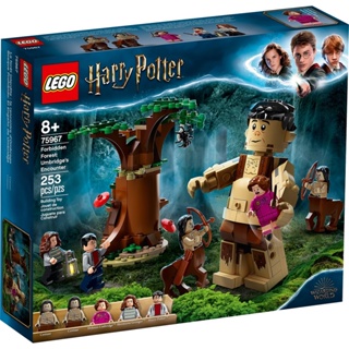 Lego 75967 哈利波特 Harry Potter 禁忌森林 恩不里居的遭遇 全新 盒組 #5