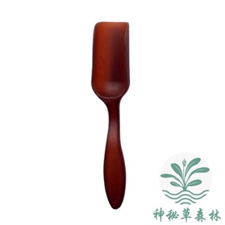 ﹝神秘草森林﹞【多功能砂鏟】 多肉砂鏟 鏟子 土杓 多肉工具 鋪面 多肉植物 仙人掌 盆栽 茶勺 微景觀 DIY 園藝