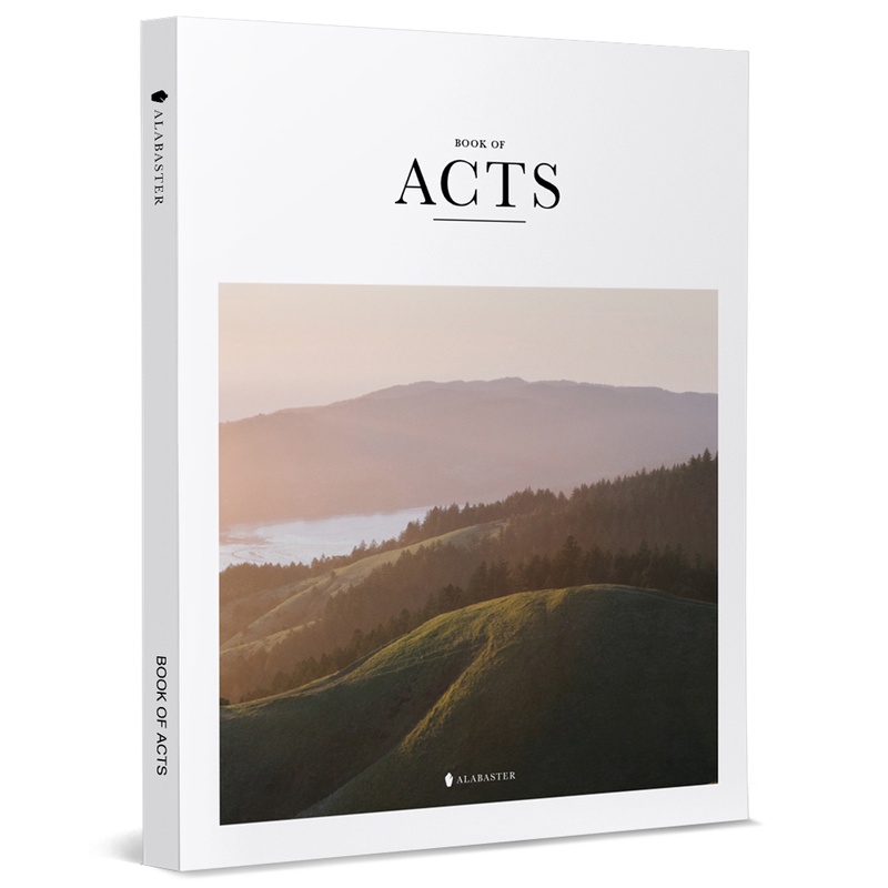 BOOK OF ACTS（New Living Translation）[93折]11100983195 TAAZE讀冊生活網路書店