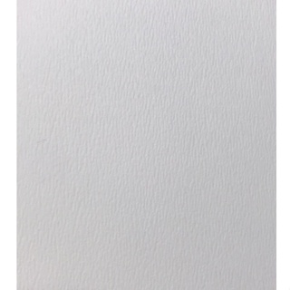 Fion｜A3/A4-雅紋紙120磅-米白色美術紙/壓紋美術紙-獎狀/證書/感謝狀