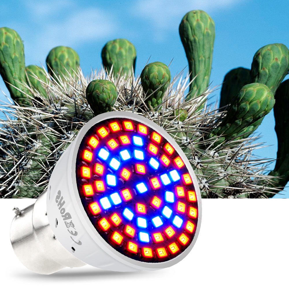 LED植物生長燈全光譜植物燈泡E27溫室照明多肉補光燈水培系統E14室內種植燈杯盆栽80leds
