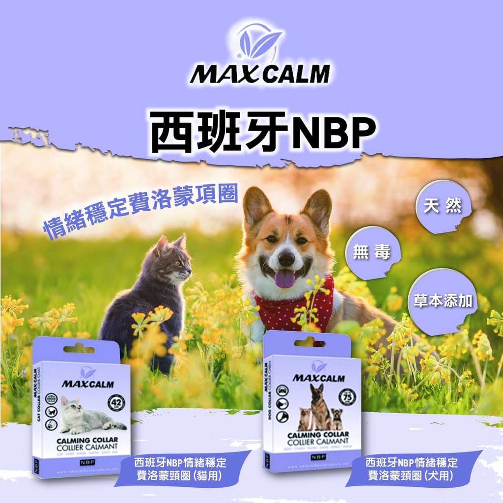 【星笙活網路寵物商店】西班牙NBP 情緒穩定費洛蒙頸圈 貓用  抗壓鎮靜項圈 費洛蒙 貓咪行為 貓咪 情緒安撫