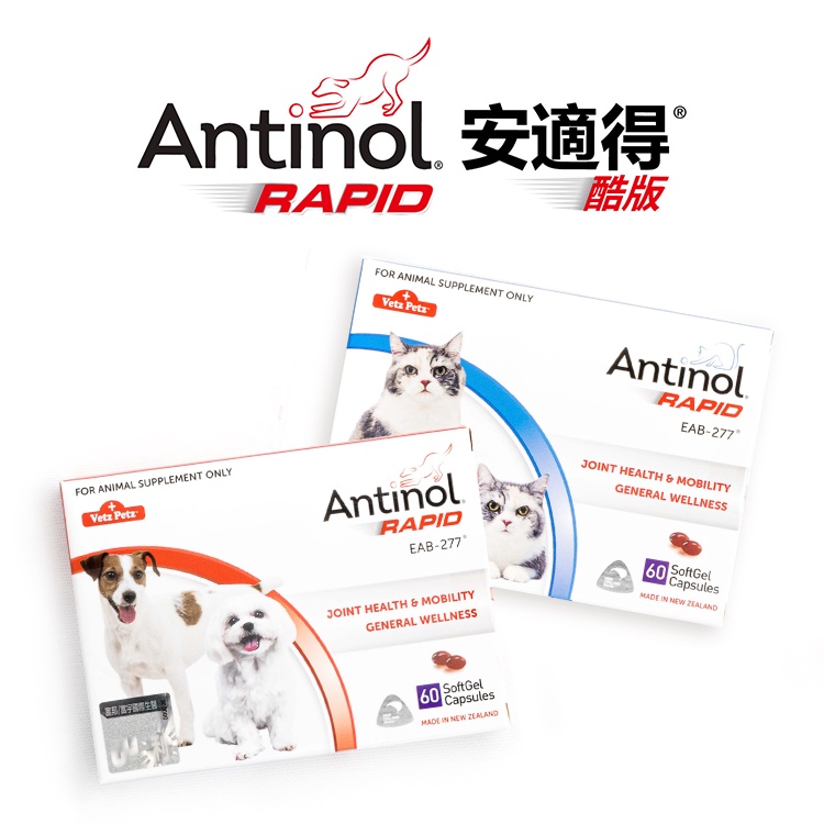 [防偽雷射標籤有保障] 安適得 Antinol 酷版 60錠 關節保養 狗狗用 貓咪用