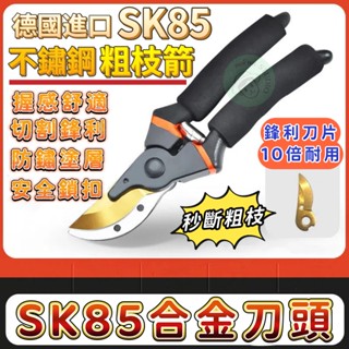 【臺灣出貨+德國進口】SK85 不鏽鋼 強力園藝剪刀 省力修剪 枝葉 果樹 粗枝樹枝 專用剪刀 剪刀