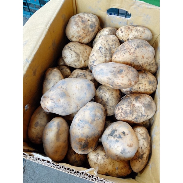 ［新鮮蔬菜直購］本地馬鈴薯🥔第三顆10元 一份3顆重量600-700克