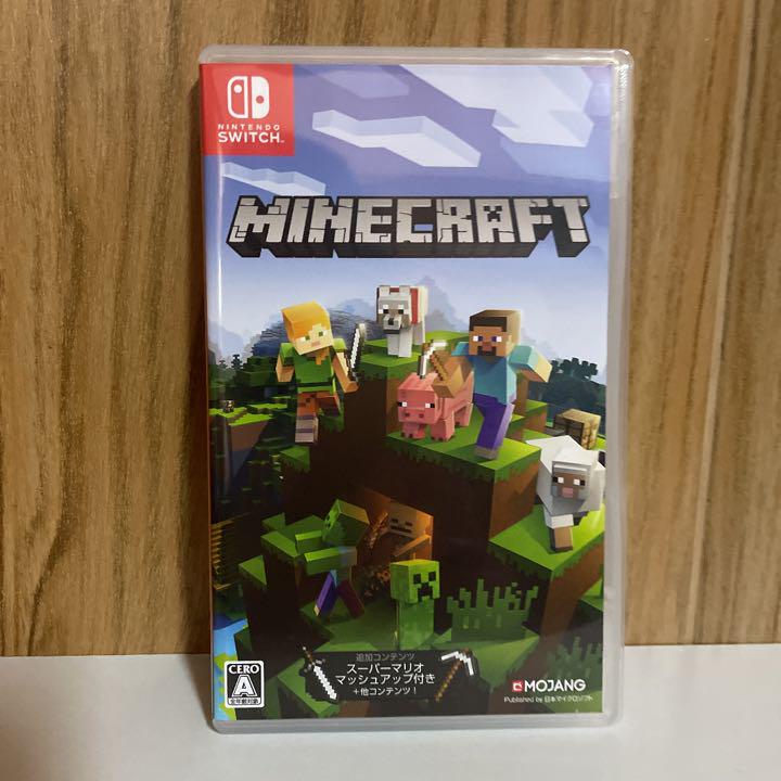 Nintendo Minecraft Video Game Direct from Japan