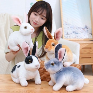 兔娃娃 兔子娃娃 小兔子娃娃 兔子抱枕 兔子玩偶 兔兔娃娃 仿真兔子玩偶2023生肖小白兔年吉祥物公仔毛絨玩具娃娃兒童禮