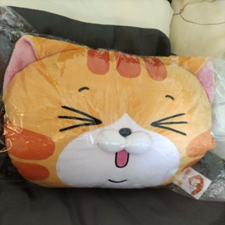 😍😍😍白爛貓貓手枕靠枕抱枕