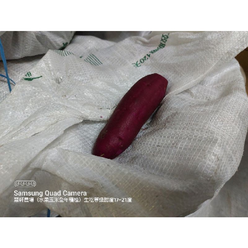 《免運費宅配到府》紫色地瓜中顆地瓜(紫皮紫肉)10斤520元 (慧軒農場) 日本品種栗子地瓜，菱角，黃金