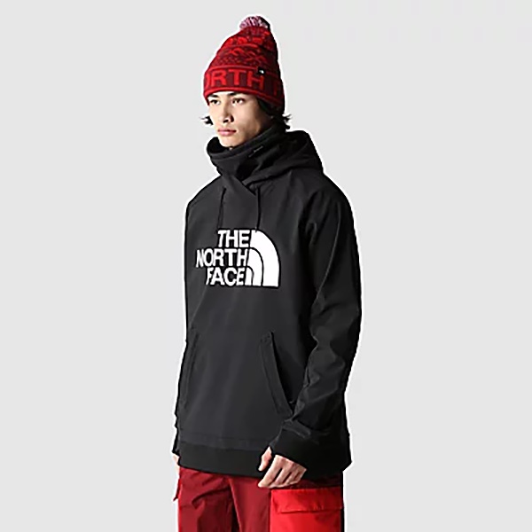 The North Face M TEKNO LOGO HOODIE 男 連帽上衣 NF0A3M4EKY4
