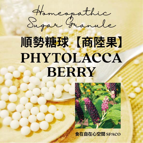 順勢糖球【商陸果●Phytolacca Berry】Homeopathic Granule（厚片／棉花糖／化納／化食）