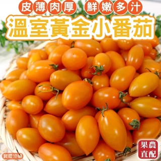 嚴選台灣黃金小番茄(每盒600g±10%) 0運費【果農直配】黃金小蕃茄 黃金番茄 黃金蕃茄 小蕃茄