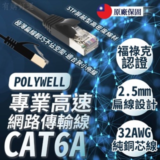 【POLYWELL】CAT6A 高速網路線扁線 電腦線材 網路線 電腦 網路 線材 高速網路線 台灣現貨