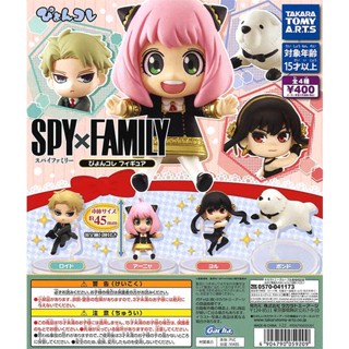 【莫莫日貨】現貨 日本萬代 正版 SPY×FAMILY 間諜家家酒 安妮亞 公仔 轉蛋 扭蛋微景觀 (全4種)59209