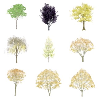Enscape For Sketchup 專業模型 100個 橋本植物模型
