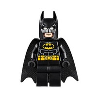 【🐶狗在一塊🐶】LEGO 樂高 蝙蝠俠 Batman sh513 76220 76180 76138 10753