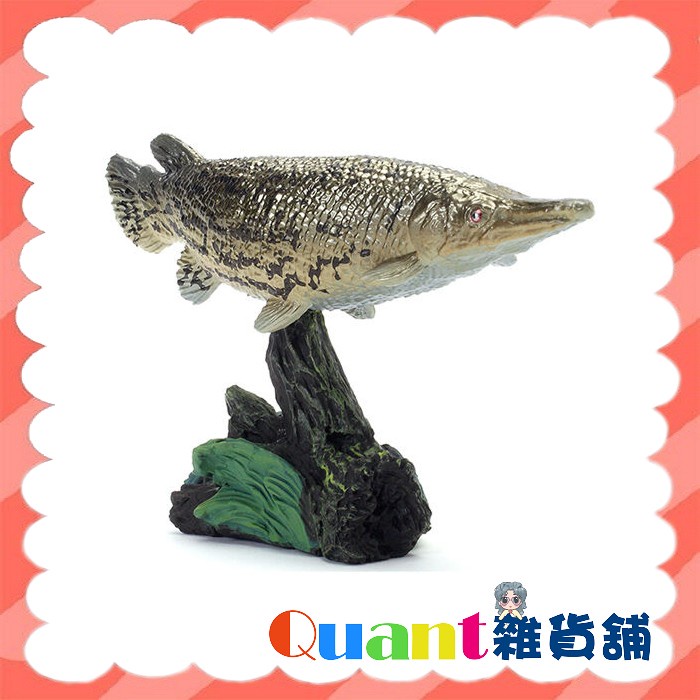 ∮Quant雜貨鋪∮┌日本扭蛋┐ BANDAI 生物大圖鑑-古代魚篇 單售 03款 福鱷 鱷雀鱔 錘骨雀鱔 鱷魚火箭 轉