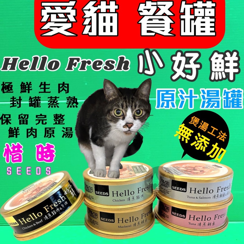 ✪優兒蝦皮✪附發票~🎀惜時 SEEDS Hello Fresh 好鮮原汁湯罐 50g/罐 貓罐 高壓煲湯 營養