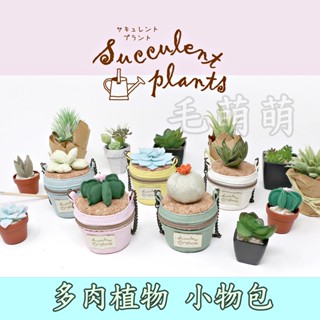 🌸現貨🌸日本 Nipopo 模擬 多肉植物 盆栽 零錢包 吊飾 收納 零錢包 小物包 擺飾 多肉盆栽 掛包