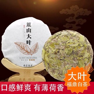 熱銷款優選 福鼎白茶-高山荒野老古樹大黃金葉老白茶餅 300g
