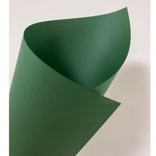 Fion｜A3/A4/A5-深綠色美術紙120磅-聖誕節/聖誕樹/美術紙/綠色紙/墨綠色紙/綠色影印紙/綠色色紙
