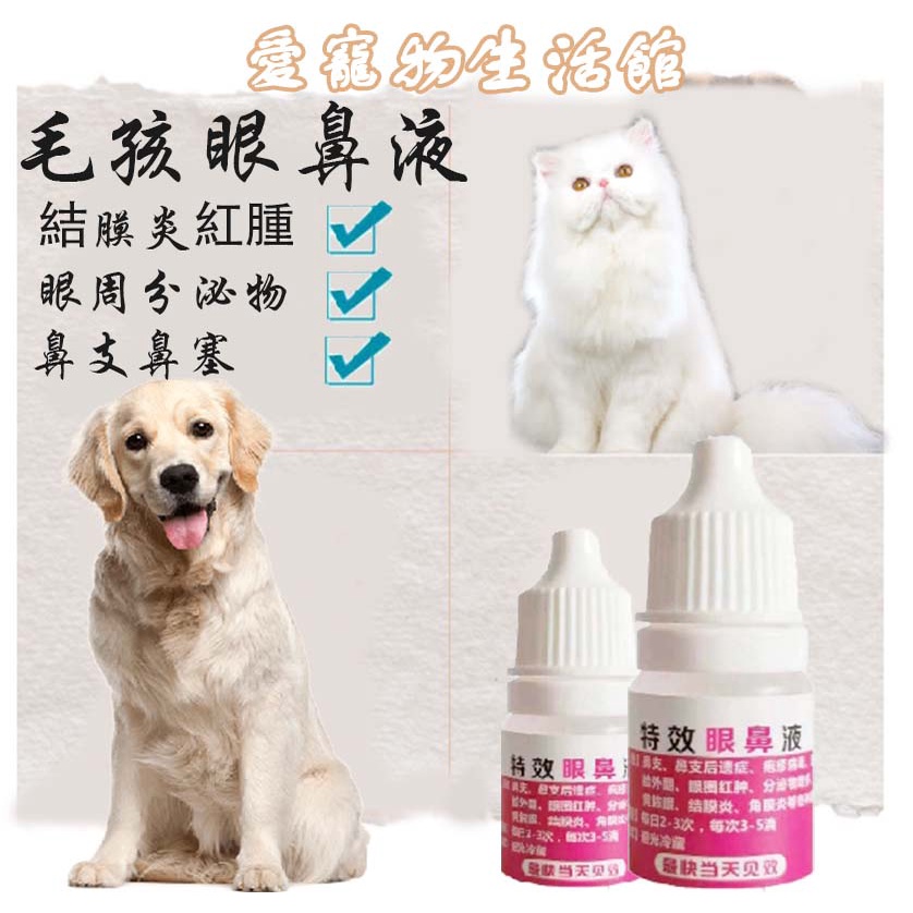狗眼睛 優惠推薦 23年2月 蝦皮購物台灣