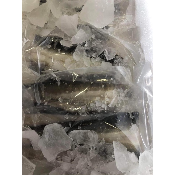 偉佳鰻鰻幸福蒲燒鰻 新鮮生鰻魚1公斤$950