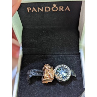 [全新][現貨] Pandora 潘朵拉 (純銀) 2個一組 吊飾 吊墜 手鍊吊飾 項鍊吊飾