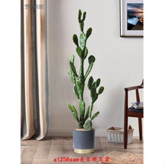 模擬樹 假樹 模擬盆栽 仿真植物北歐風模擬仙人掌植物盆栽擺件客廳櫥窗落地綠植盆景裝飾