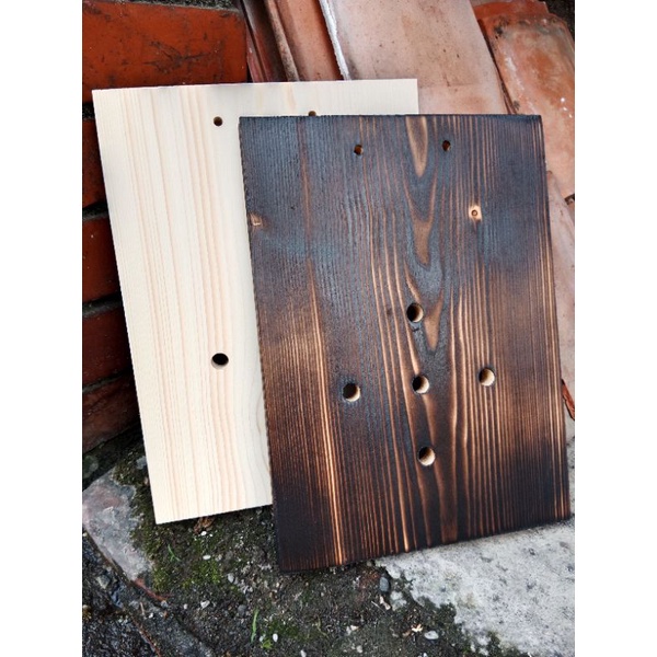 🌿雅集良品🌿 雲杉木板 碳化木板 鹿角蕨 蘭花 空鳳 上板 植板