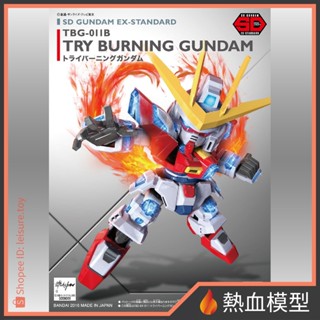 [熱血模型] BANDAI 萬代 SD鋼彈 EX-STANDARD 011 燃燒鋼彈