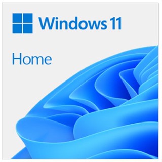 Microsoft Windows 11 中文家用隨機版-64位元