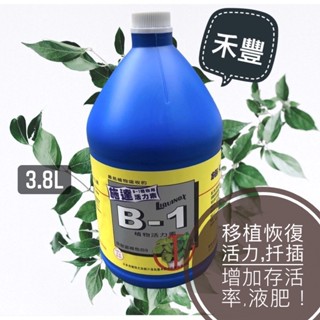 翠筠｜施達活力素B1 B4 3.8L｜促進植物開根發芽｜促進樹木生長｜植物活力素｜開根保養｜生長素｜植物激素｜生根壯苗