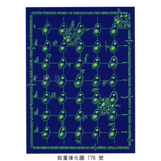 正版Bryan De Flores能量圖A176號-時間旅行母體~阿卡西記錄通道與技術(時間旅行/平行時空/阿凱西紀錄)