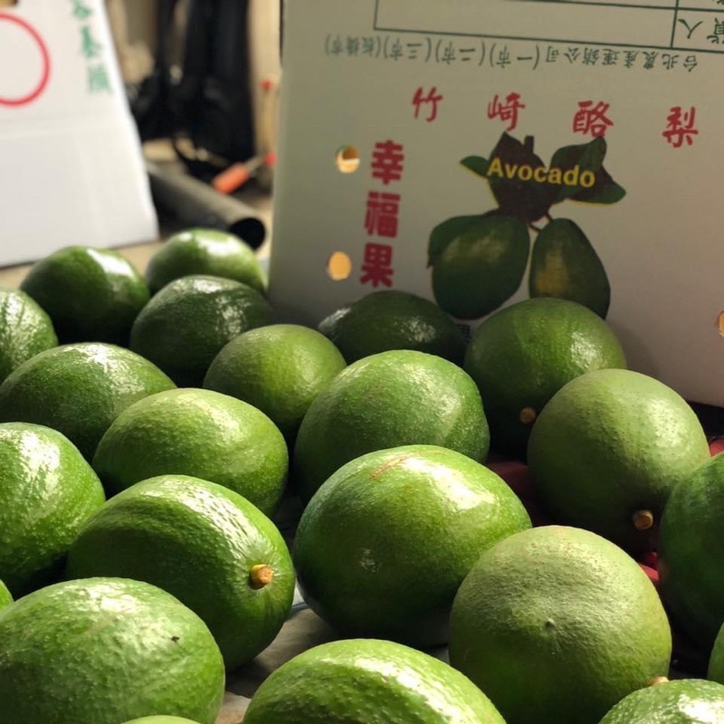 🥑酪梨🥑牛油果 厚兒 秋可得 不轉色 自產自銷 一斤