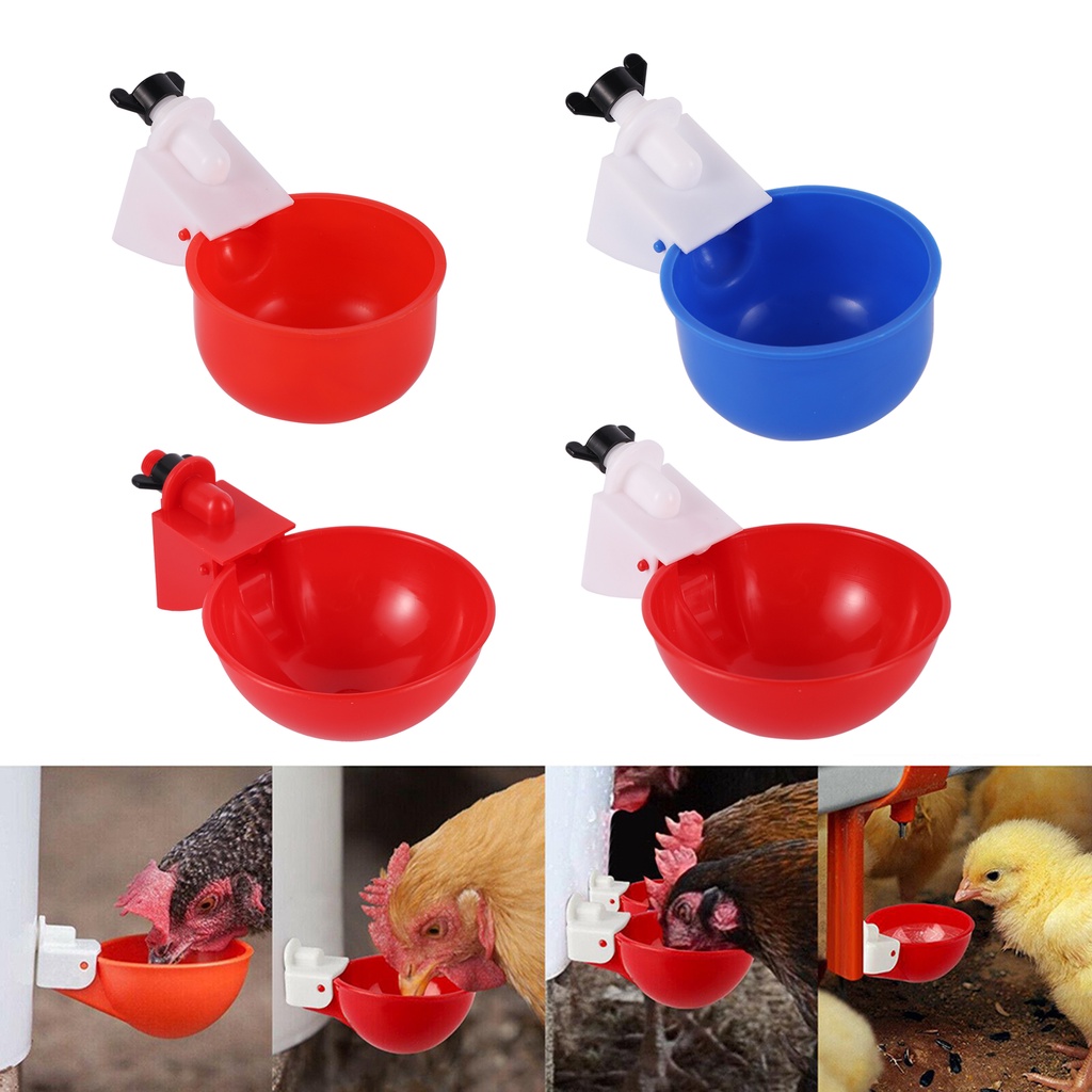 雞自動澆水杯家禽飲水器雞鵪鶉家禽飲水杯農場餵食用品配件 1 件