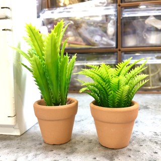 波的小宇宙 微縮模擬陶盆植物盆栽 開店必備裝飾品齒鐵樹8分12分ob11森林家族場景模型道具袖珍小物擺件