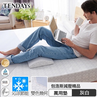 TENDAYS 包浩斯紓壓萬用墊(靠墊 腰墊 膝下墊、Wincool涼感紗)