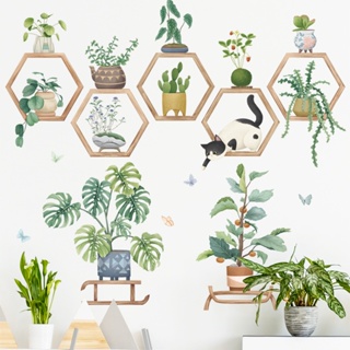 五象設計 盆栽畫框背景裝飾貼植物龜背竹客廳臥室宿舍ins貼紙房門植物牆貼