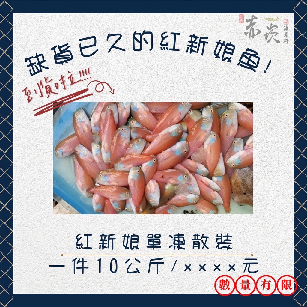 紅新娘 散裝紅新娘10公斤 澎湖赤崁峰海產行-海鮮產地宅配網