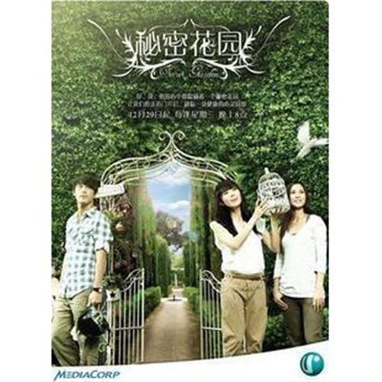 影視優選-韓劇--2011韓國 秘密花園 玄彬 河智苑2碟DVD
