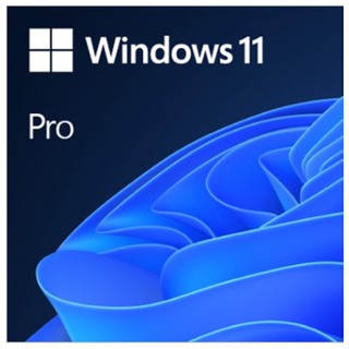 (原廠正版)Microsoft Windows 11 中文專業隨機版-64位元 WIN 11 PRO