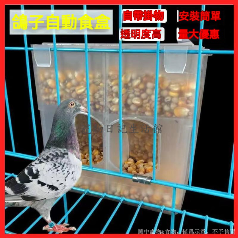 鵪鶉飼料盒的價格推薦 - 2023年6月| 比價比個夠BigGo