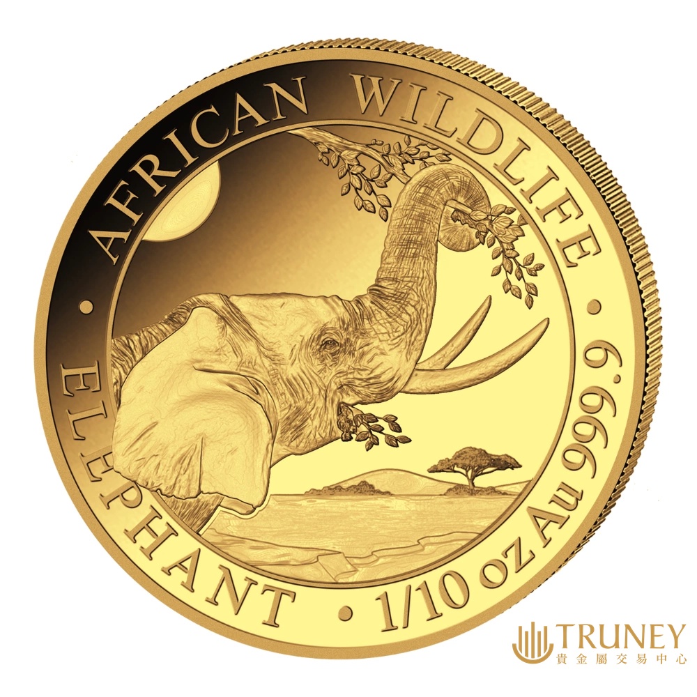 【TRUNEY貴金屬】2023索馬利亞非洲象金幣1/10盎司 / 約 0.8294台錢